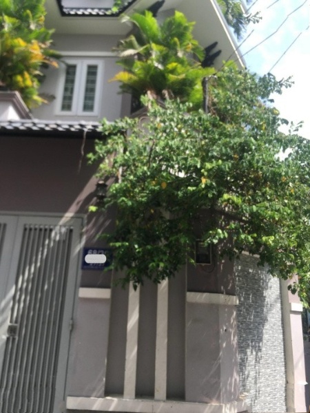 Bán nhà 4 tầng tại Đường Nguyễn Thị Định, Phường Thạnh Mỹ Lợi, Quận 2, Hồ Chí Minh
